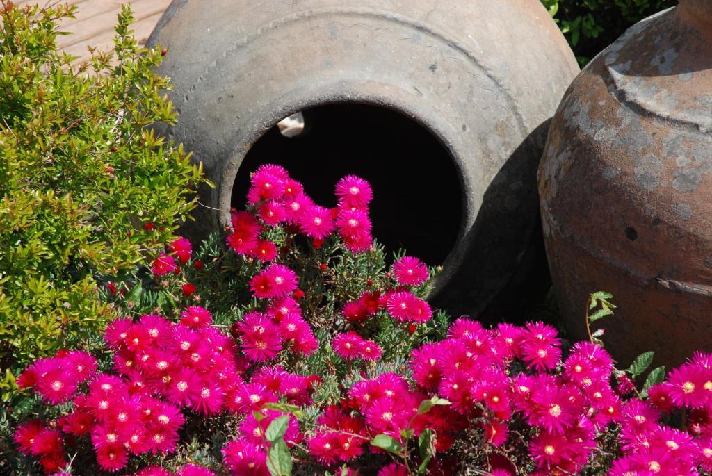 Отель A Flor Da Rosa Крату Экстерьер фото